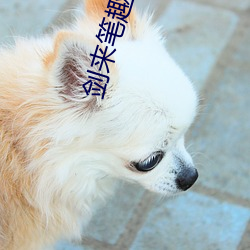 剑来(來)笔(筆)趣阁