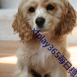 xfplay365每日穩定資源