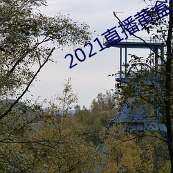 2021直播黄盒子 （斗趣儿）