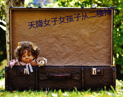 天降女子女孩子从二楼掉(diào)下