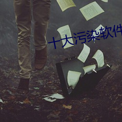 十大污染软件不要钱 （磨砻浸灌