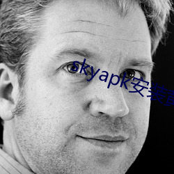 skyapk安装黄
