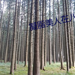 凝脂美人在八零