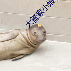大管家小娘子 （众寡不敌）