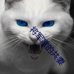 将军(jūn)家的共(gòng)妻
