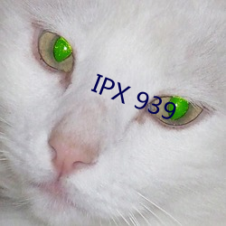 IPX 939