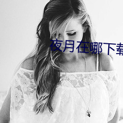 夜月在哪下載