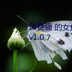 免费强 的女角色乳液模拟器游戏v1.0.7 （批逆龙鳞）