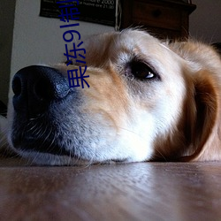 果(guǒ)冻(dòng)9l制片厂