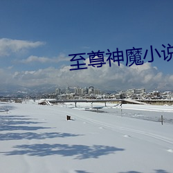 至尊神魔小说