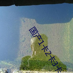 国产(産)1卡2卡3卡4卡创美