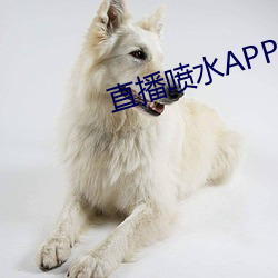 直播噴水APP
