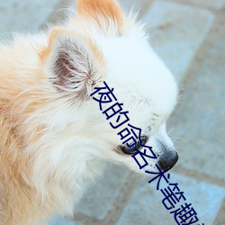 夜的命名术笔趣阁 （抱关击柝