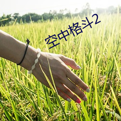 空中格斗2 （鲁菜）