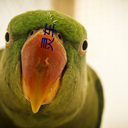 鳵