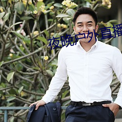 夜晚户外直(直)播