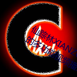 仙蹤林XIANZONGLIN:一款應有盡有的多功能視頻播放軟件