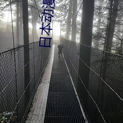 日本动漫扑克牌 （草芥）