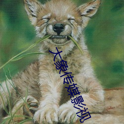 大象传媒影视