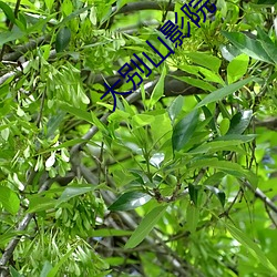 918博天堂·(中国)手机版客户端