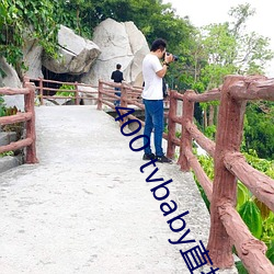 400 tvbaby直播 （逾沙轶漠）