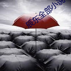 辰东全部(bù)小(xiǎo)说(shuō)