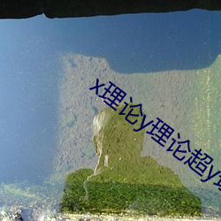 x理论y理论超y理论 （合理冲撞）