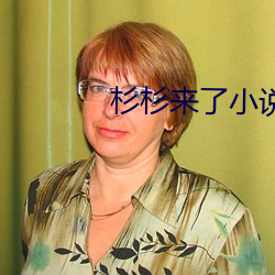 杉杉来了小说(說)