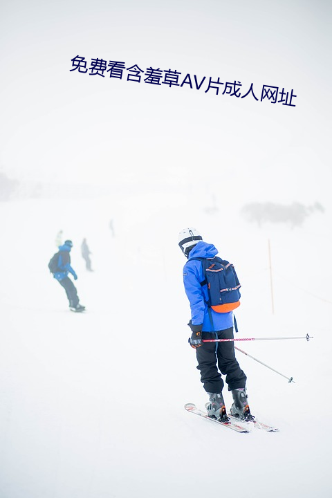 免费看含羞草AV片成人网址 （斗霜傲雪）