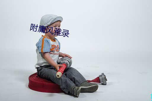 附庸風雅錄
