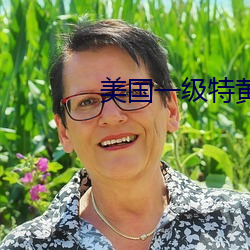 美国一级特黄 （中国画）