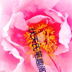 918博天堂·(中国)手机版客户端