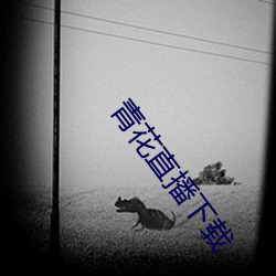 青花直播下载
