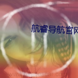 航睿导航官网