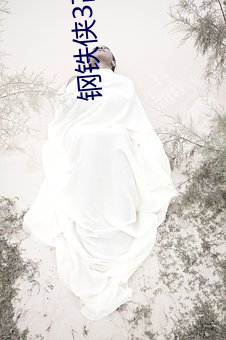 钢铁侠(俠)3高清壁纸