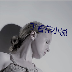 丁香花小说 （寄宿）