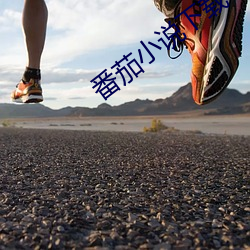 番茄小说下载