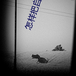怎样把自己弄到喷泉 抛砖引玉）