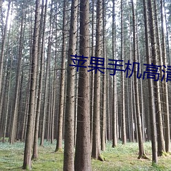 苹果(guǒ)手机高(gāo)清壁纸