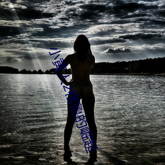 小黄人2格鲁的崛起 ��钓名要誉）