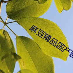 麻豆精品(pǐn)国产剧(jù)av