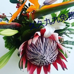 久久(jiǔ)九九免费