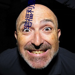 宅福利轟趴貓