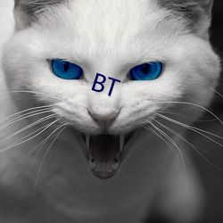 BT （倒挂）