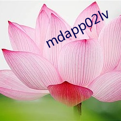 mdapp02lv