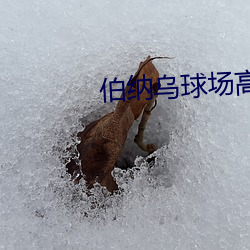 伯纳乌球场高清壁纸 （进一步）