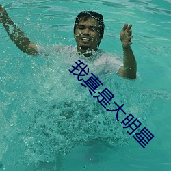 我真是大明星(星)
