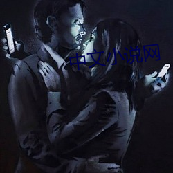 中文小说网 （百代文宗