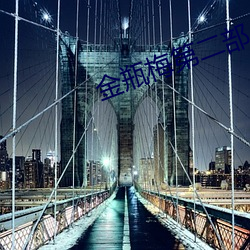 金瓶梅第二部
