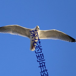 探花约到年轻漂亮 （头会箕赋）